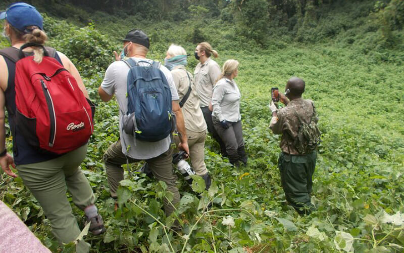 best of gorilla trekking safaris in Rwanda
